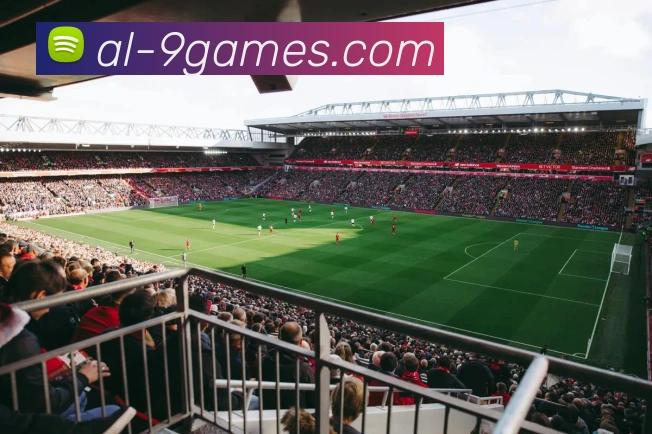 九游会J9官网全站App